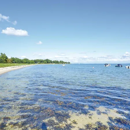 Three-bedroom Haderslev With A Fireplace 06 *